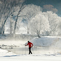 A Man Cross Country Skiing Near Frosted