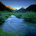 Mineral King Valley, Sequoia National