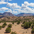 Scenic Desert Landscape In New Mexico