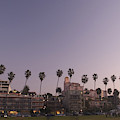 Sunset At The Park In La Jolla